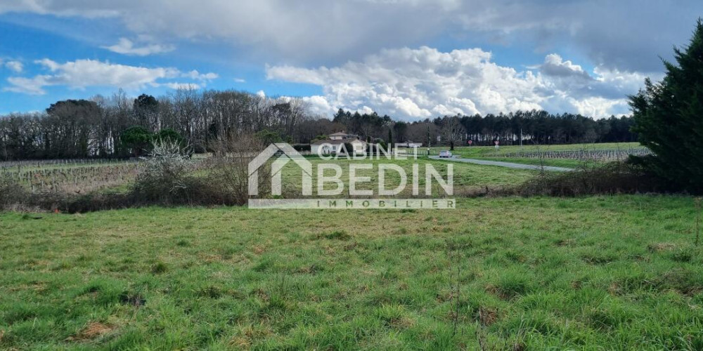 terrain à LA BREDE (33650)